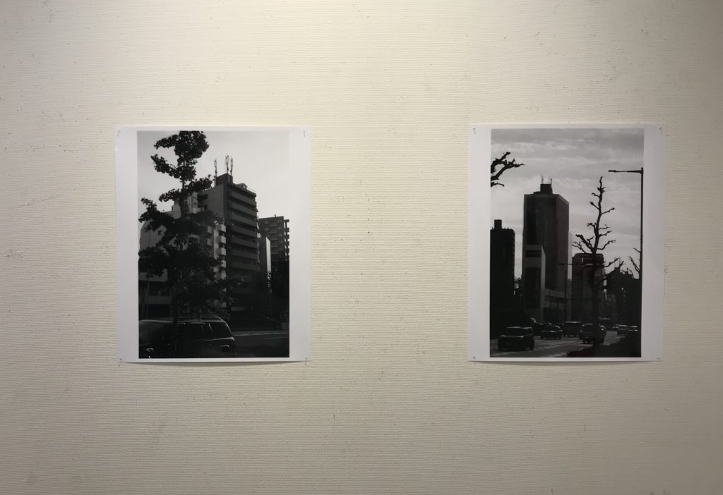 豪