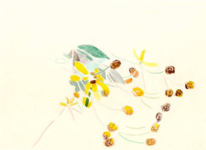 木村彩子さんが第4弾 ギャラリーキャプションのenvelope as a door