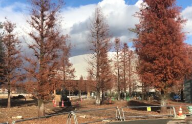 豊田市博物館 基本設計を発表 2024年春の開館 坂茂さん設計