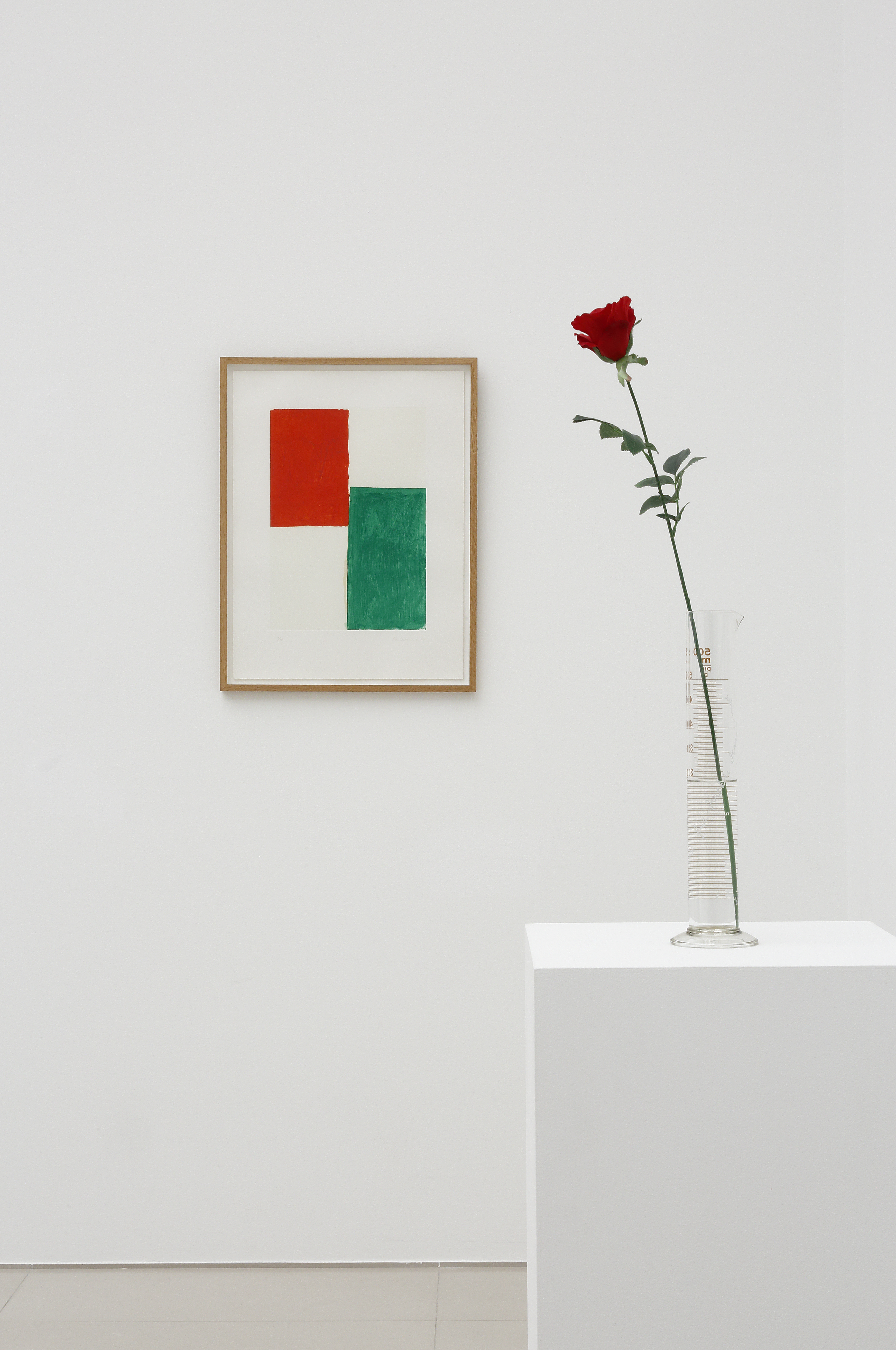 ボイス パレルモ 豊田市美術館 会場リポート 4月3日 6月日 Outermostnagoya 名古屋 アート 舞台 映像 ボイス パレルモ 豊田市美術館 会場リポート 4月3日 6月日 Outermostnagoya 名古屋 アート 舞台 映像