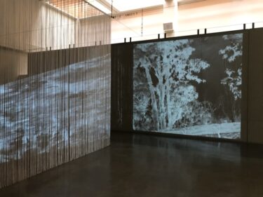 三宅砂織 岐阜県美術館で滞在制作 ３月28日まで