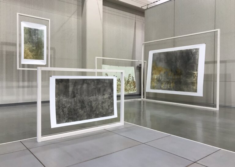 田中翔貴 個展 岐阜県美術館、なうふ現代（岐阜市）で 