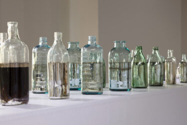 滋賀県立美術館リニューアルオープン記念展 Soft Territory かかわりのあわい