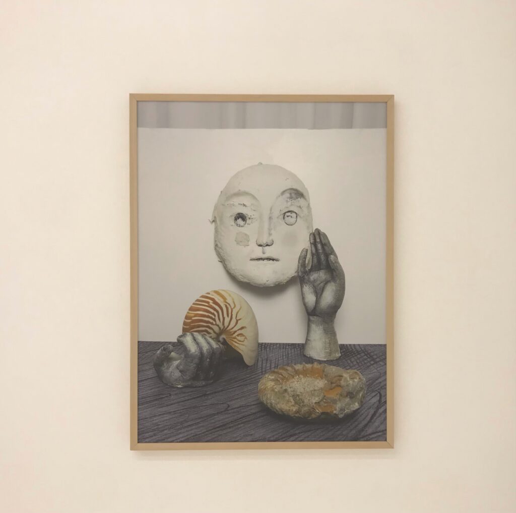 東内咲貴 個展 エビスアートラボ（名古屋）8月30日まで