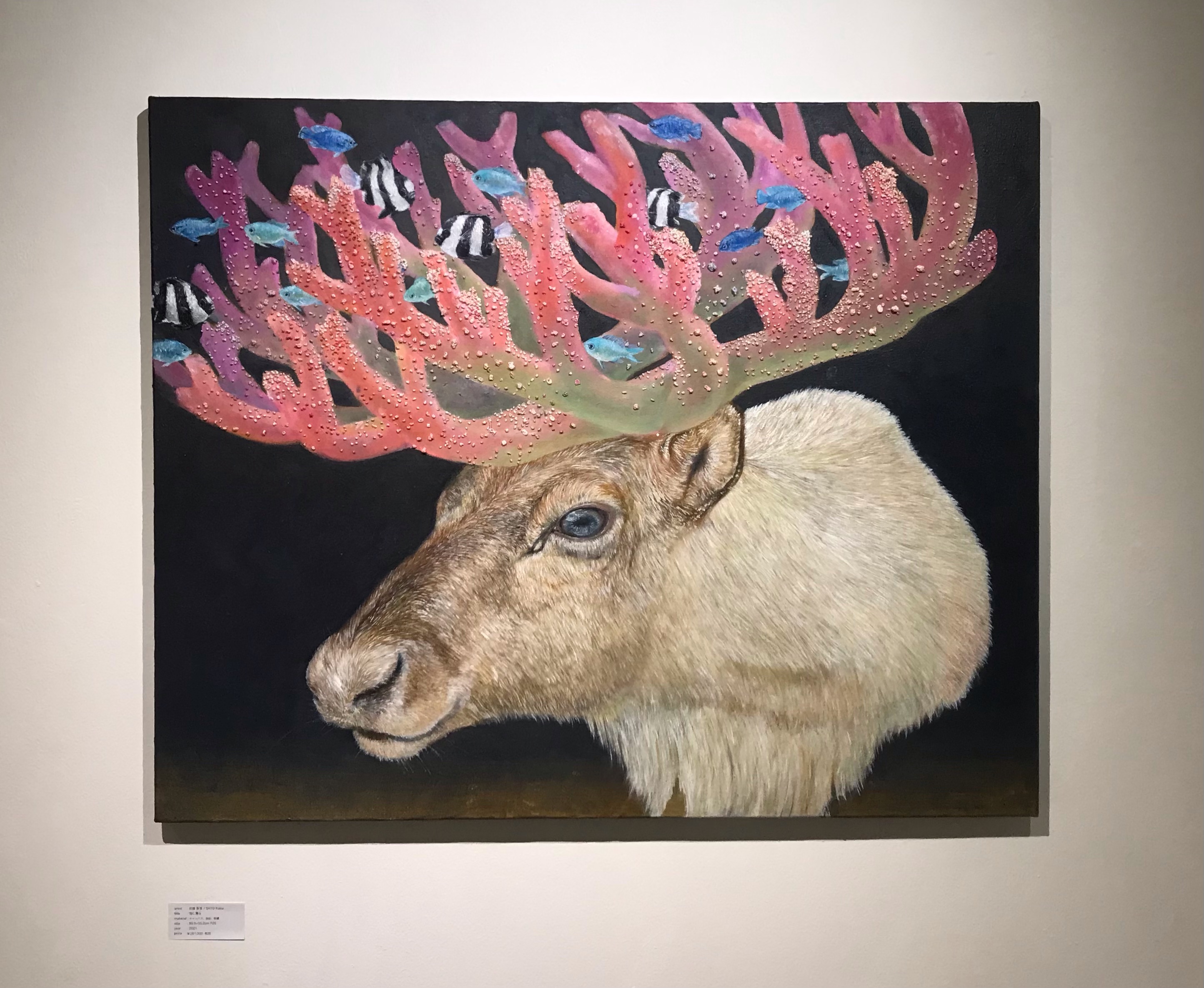 佐藤香菜展-美しいものを探す旅- IDF（名古屋）12月12日まで