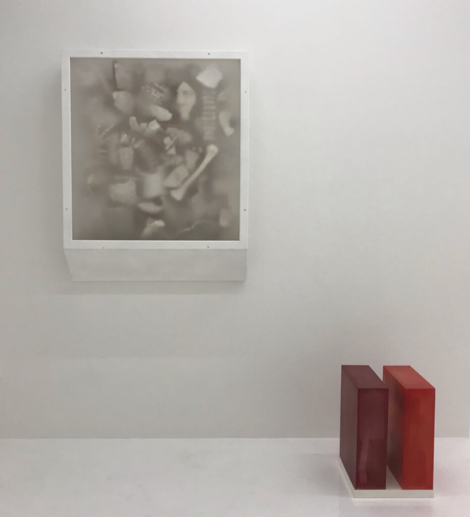 宇留野圭　Uruno Kei