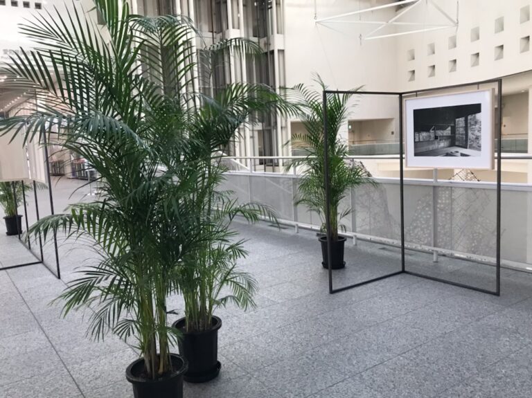 木村友紀「桂」愛知県美術館で3月13日まで展示│OutermostNAGOYA