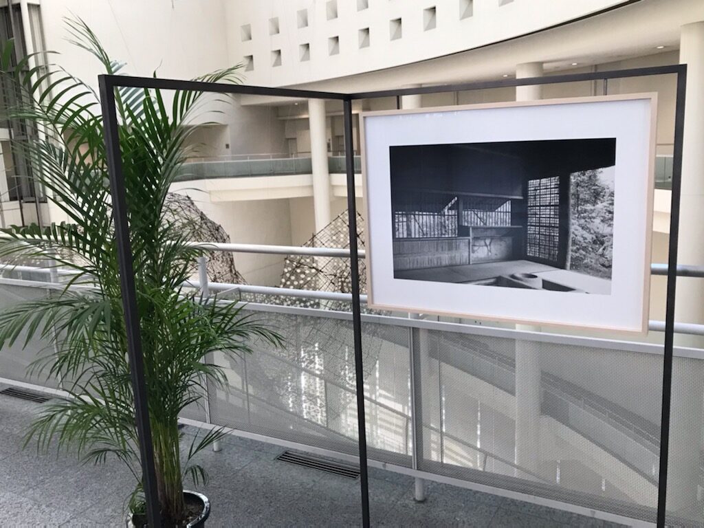 木村友紀「桂」愛知県美術館で3月13日まで展示│OutermostNAGOYA