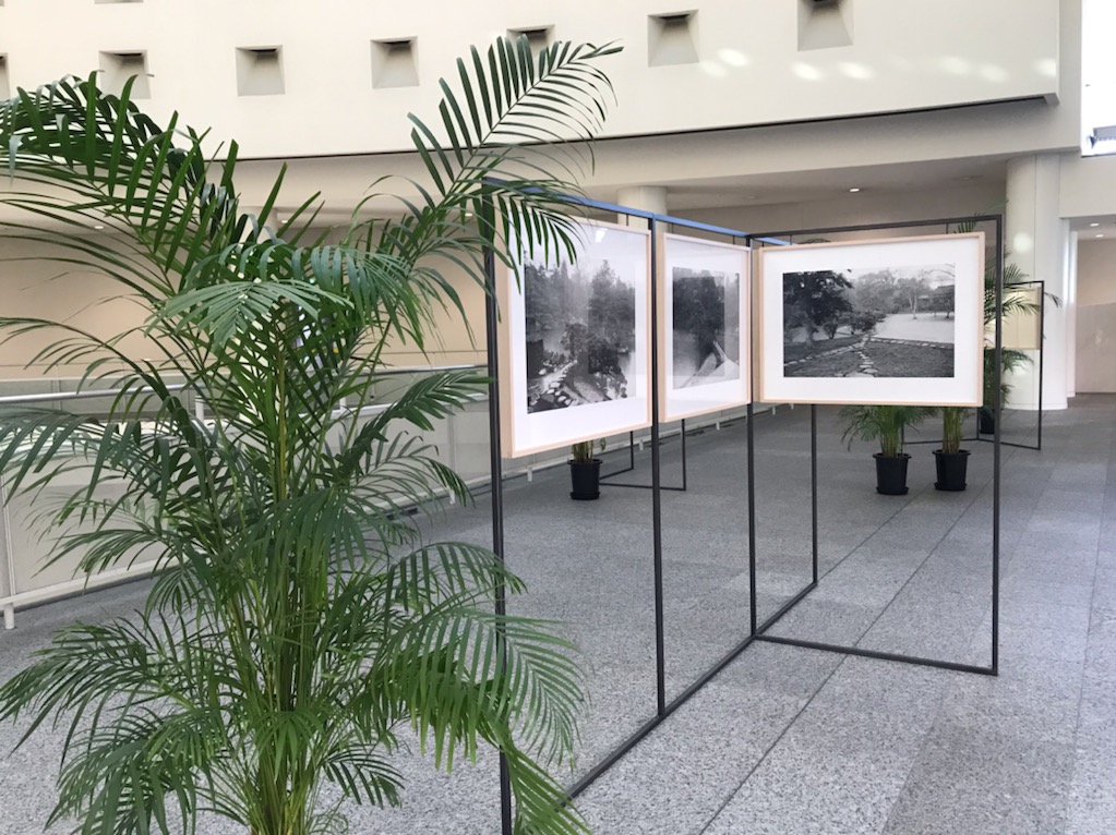 木村友紀「桂」愛知県美術館で3月13日まで展示│OutermostNAGOYA