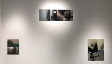 浅井真理子「ブラインドガーデン」SA・KURA（名古屋）で6月25日-7月10日