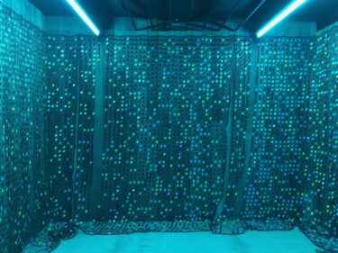 セシル アンドリュ　ギャラリーハム（名古屋）　“Chambre d’amis”　2022年7月16日-8月27日