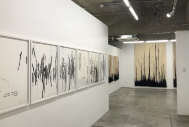 ジョエル・アンドリアノメアリソア個展　スタンディングパイン(名古屋)で7月16日-8月20日