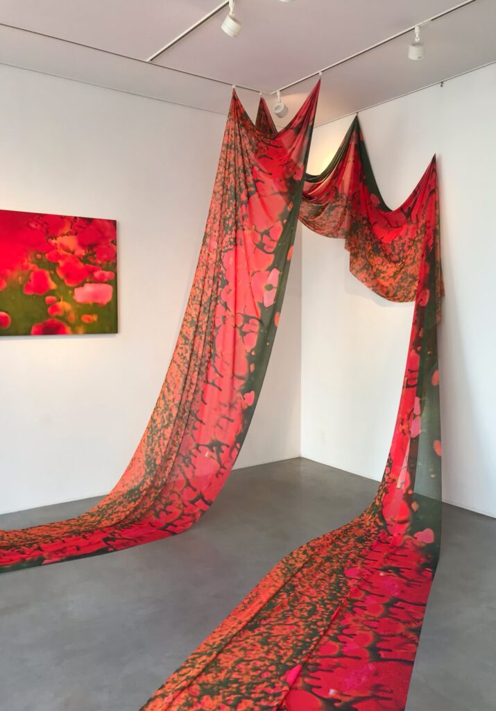 藤原更 (Sarah Fujiwara) 展 ギャラリーノイボイ（名古屋）で9月