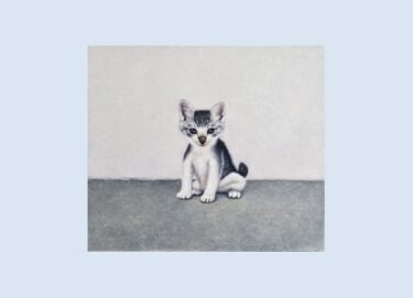 猫を切り口に見る現代美術展「ねこのほそ道」豊田市美術館（愛知県）で2月25日-5月21日に開催