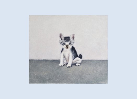 うちの愛猫みるくんの毛ボール 増補版 見るだけで楽しく視力 うちの愛猫みるくんの毛ボール 増補版 見るだけで楽しく視力