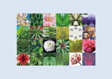 ヤマザキマザック美術館　特別展「八幡はるみ GARDEN」4月21日-8月27日に開催