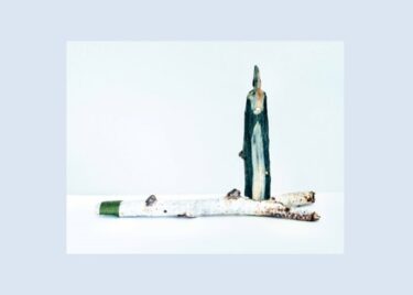 岐阜県美術館でアーティスト・イン・ミュージアム AiM Vol. 15 トザキケイコ　2023年10月11日-12月3日に開催