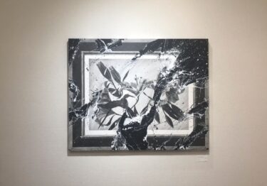 小川日夏太　Mirror,mirror ギャラリ想（名古屋）で2024年5月30日-6月9日