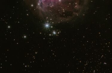 映画評論家の白井佳夫さんが死去　92歳