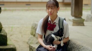 祝大輔監督『猫と私と、もう1人のネコ』シアターカフェ(名古屋)で2024年10月12-20日に上映
