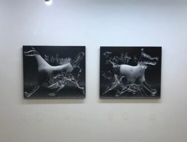 倉地比沙支展「Quadrupedalism」　ガレリアフィナルテ（名古屋）で2025年1月7日-2月1日に開催