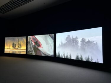 国際芸術祭「あいち2025」灰と薔薇のあいまに　全参加アーティスト60組が決定　新たに24組を追加
