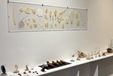 堀江良一展│OutermostNAGOYA 名古屋×アート,美術(展覧会),舞台,映像