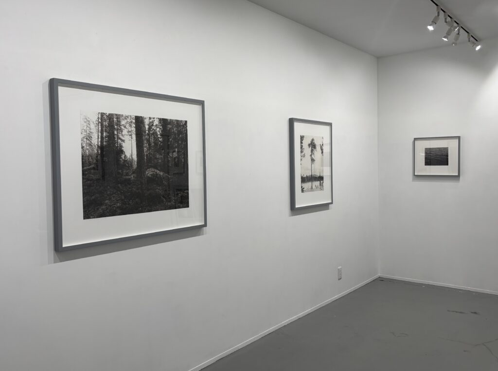 山田純嗣個展 Microtonal アイン・ソフ・ディスパッチ（名古屋）で2026
