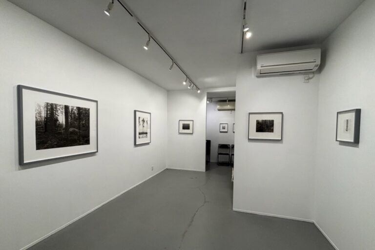 山田純嗣個展 Microtonal アイン・ソフ・ディスパッチ（名古屋）で2026